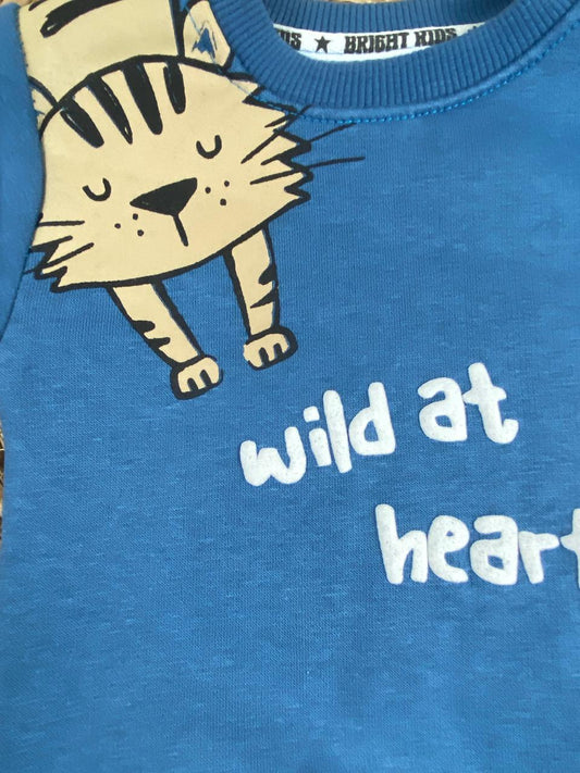 طقم شتوي ميلتون اولادي وبناتي مكون من قطعتين رسمة قطه مبطن من الداخل🩷🤍