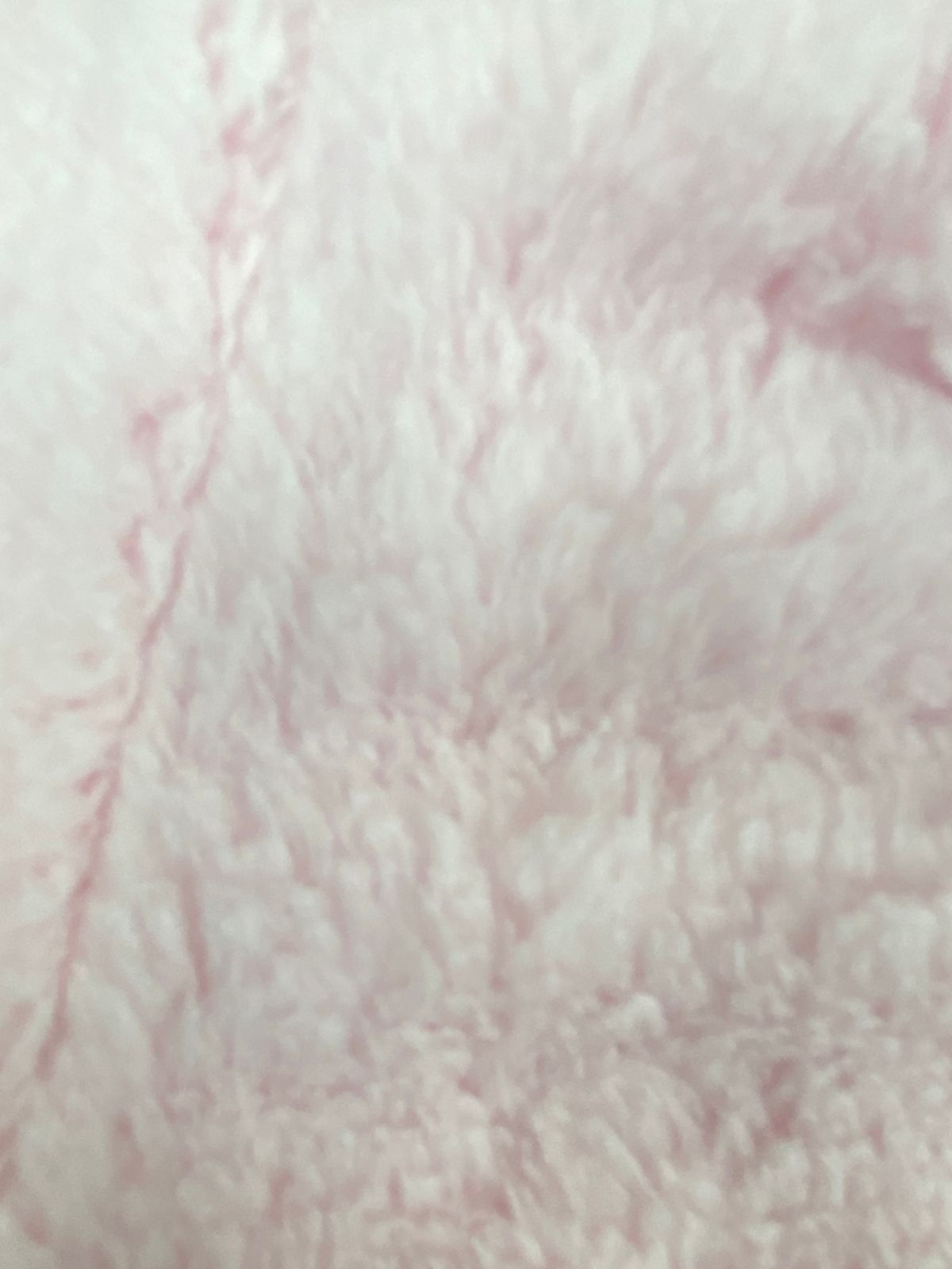 بيجامه فرو بناتي خامه روعه مبطن من الداخل رسمة قطه😍🤍